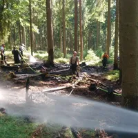 einsatz11201901.jpg
