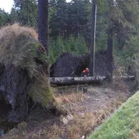 einsatz2420173.jpg