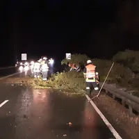 einsatz07202201.jpg