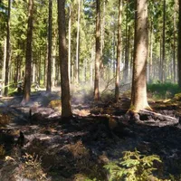 einsatz11201903.jpg