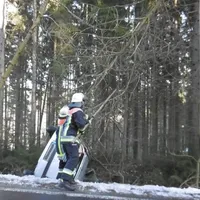 einsatz2820174.jpg