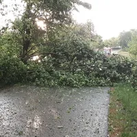 einsatz14202204.jpg