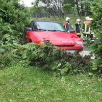 einsatz23202102.jpg
