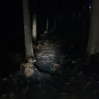 einsatz12201901.jpg