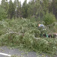 einsatz2420171.jpg